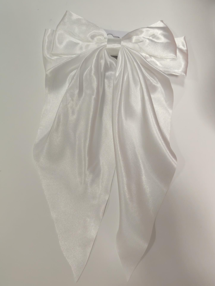 Coquette Style Silk Hair Tie with Clip